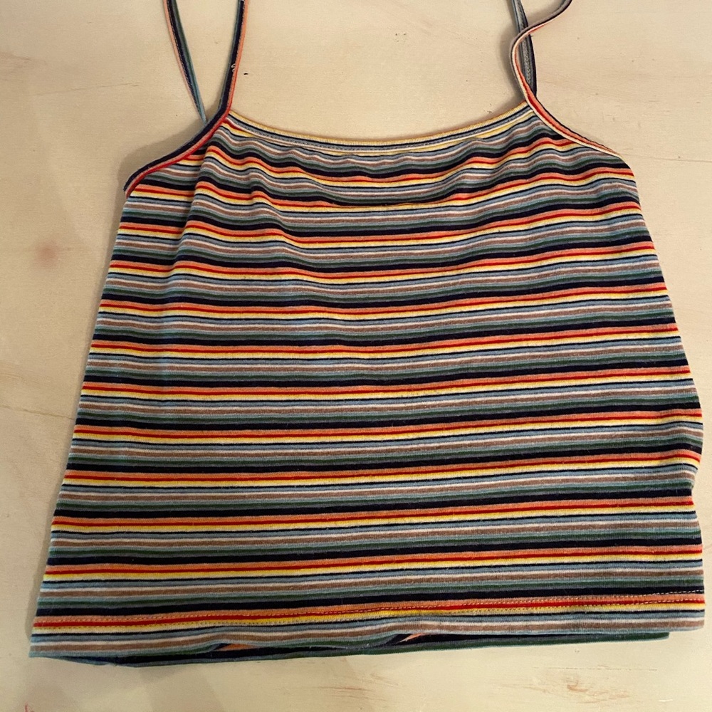 Brandy Melville Crop Top